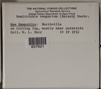 Image Associated With the Occurence